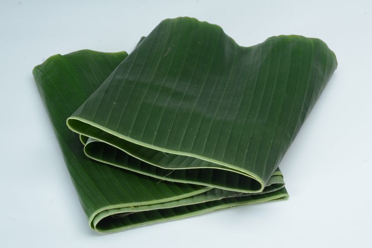 daun pisang daun pisang