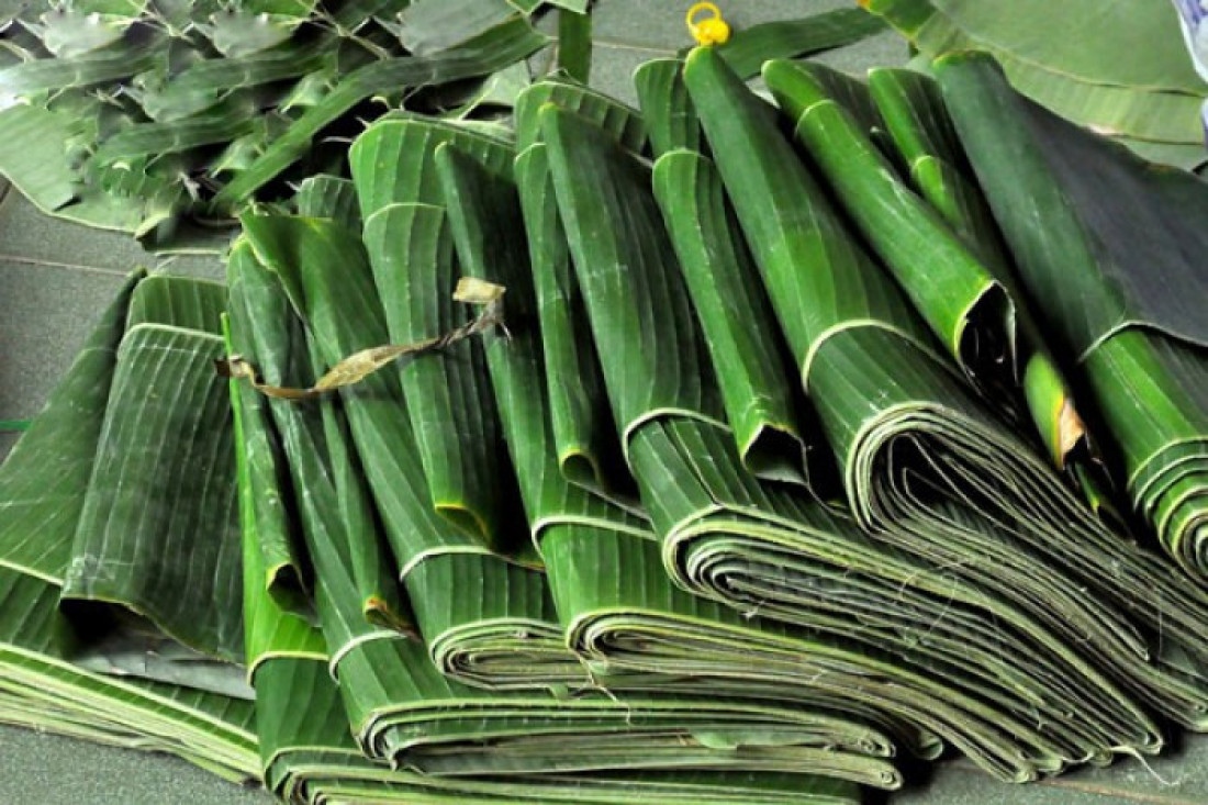 daun pisang 5 daun pisang 5